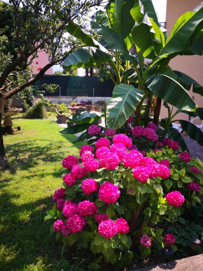 B&B Esmeralda Арко Экстерьер фото
